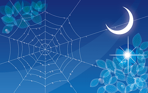 Spiders Web Moon Leaves
