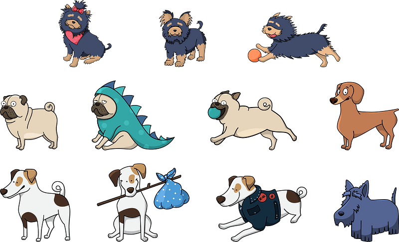 Dog Animal