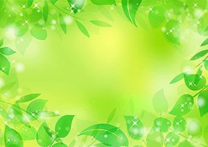 Green Leaves Frame