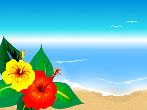 Beach Sea Hibiscus