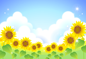Sunflower Summer