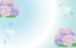 Hydrangea Rain Frame