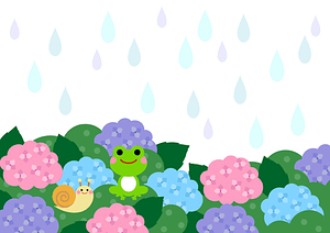 Rain Hydrangea