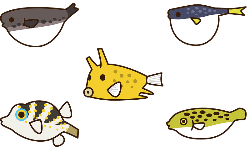 Fugu Pufferfish