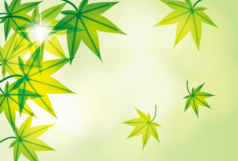 Green Maple Leaves