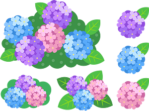 Hydrangea Flower