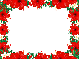 Hibiscus Frame