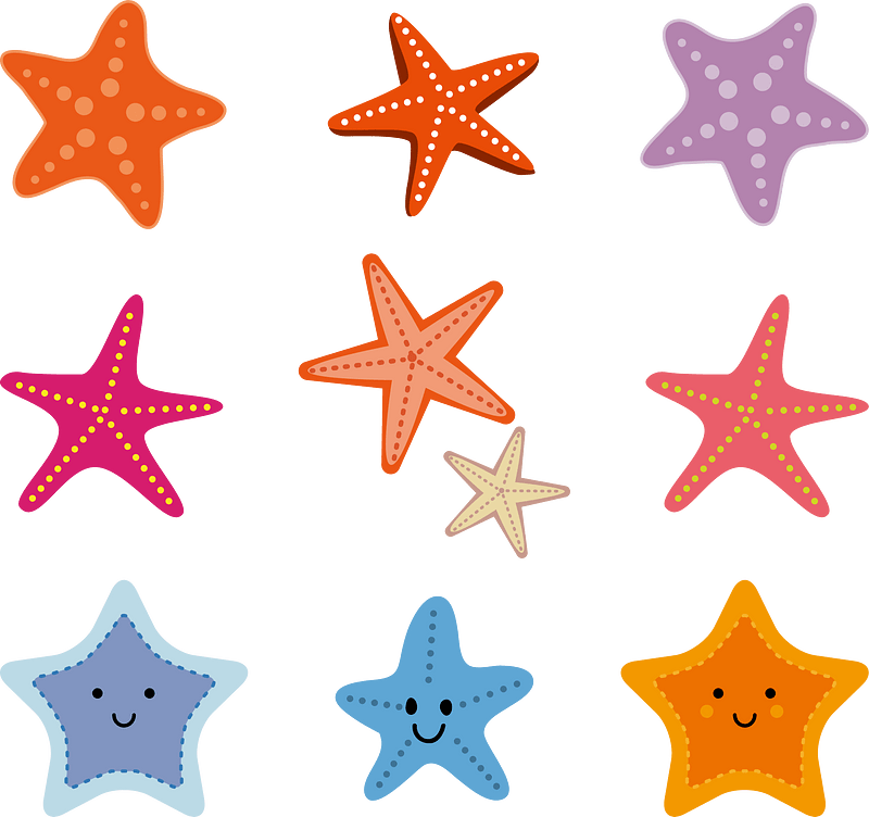 Starfish Animal