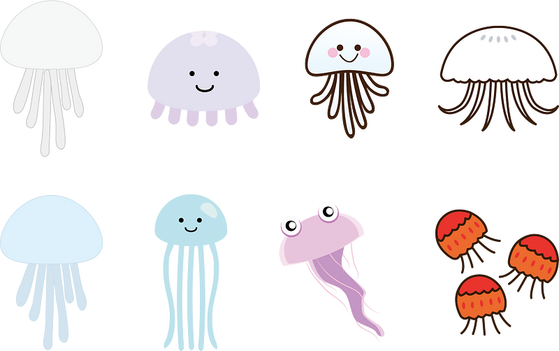 Jellyfish Animal