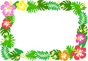 Hibiscus Frame