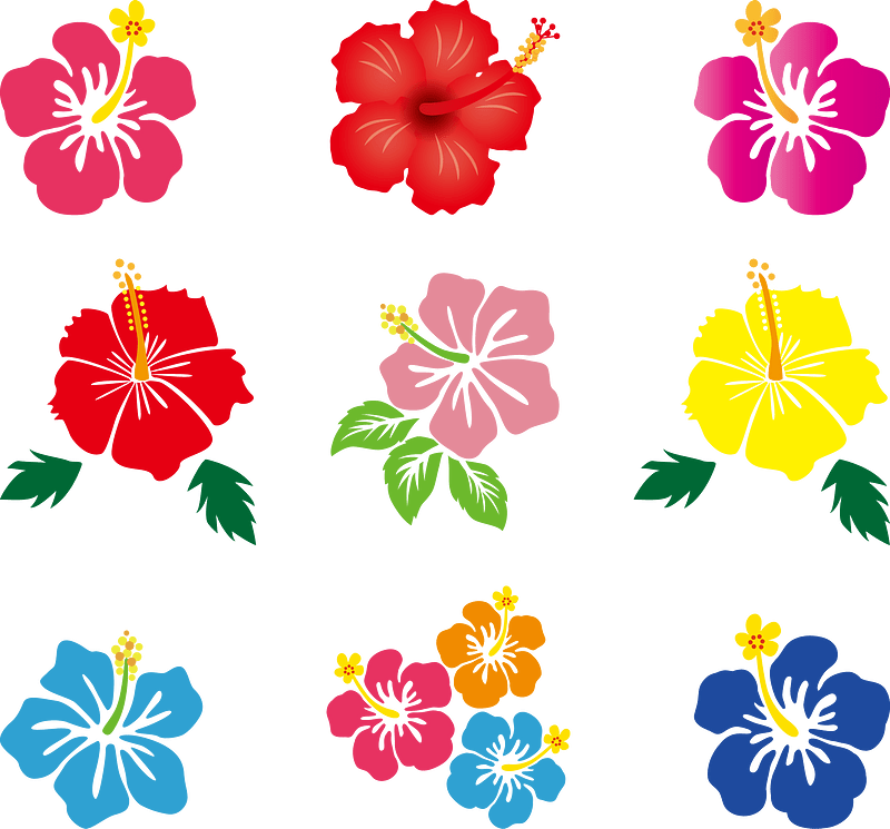 Hibiscus Flower