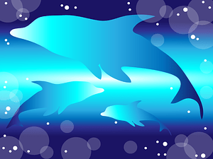 Dolphins Background