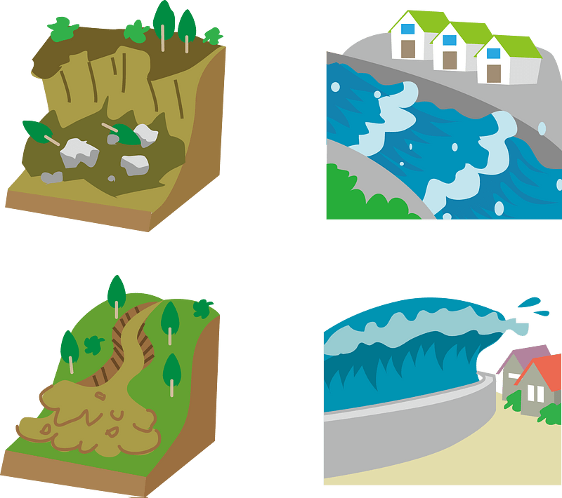 Natural Disaster
