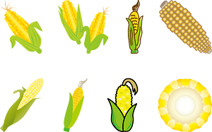 Corn Maize