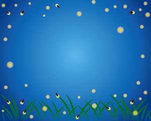 Firefly Frame