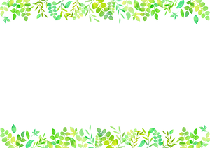 Green Leaves Frame
