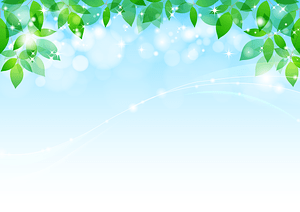 Green Leaves Sky