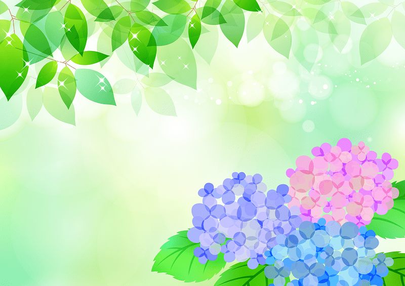 Hydrangea Green Leaves