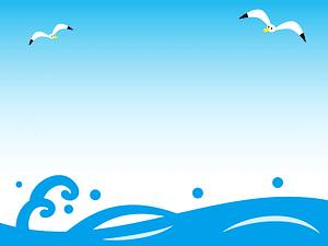 Sea Seagull Summer