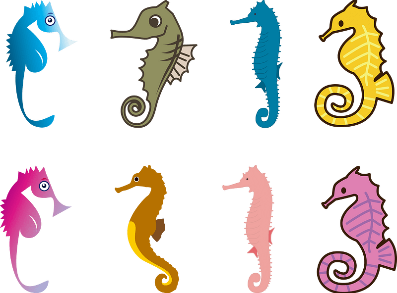Seahorse Hippocampus