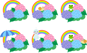 Hydrangea Rainbow