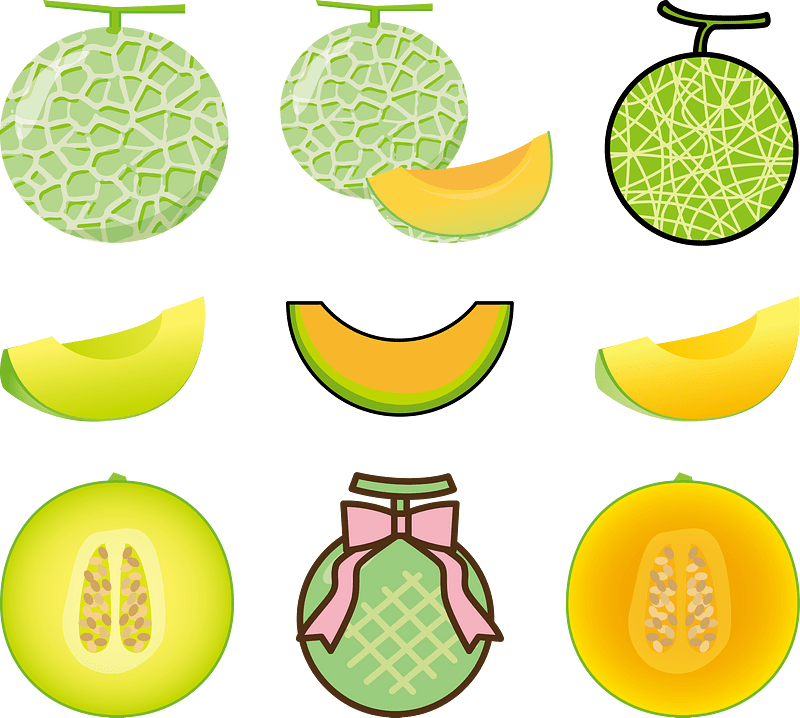 Muskmelon Fruit