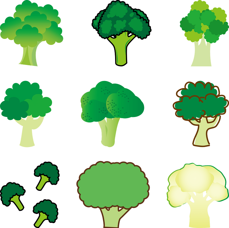 Broccoli Vegetable