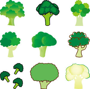 Broccoli Vegetable