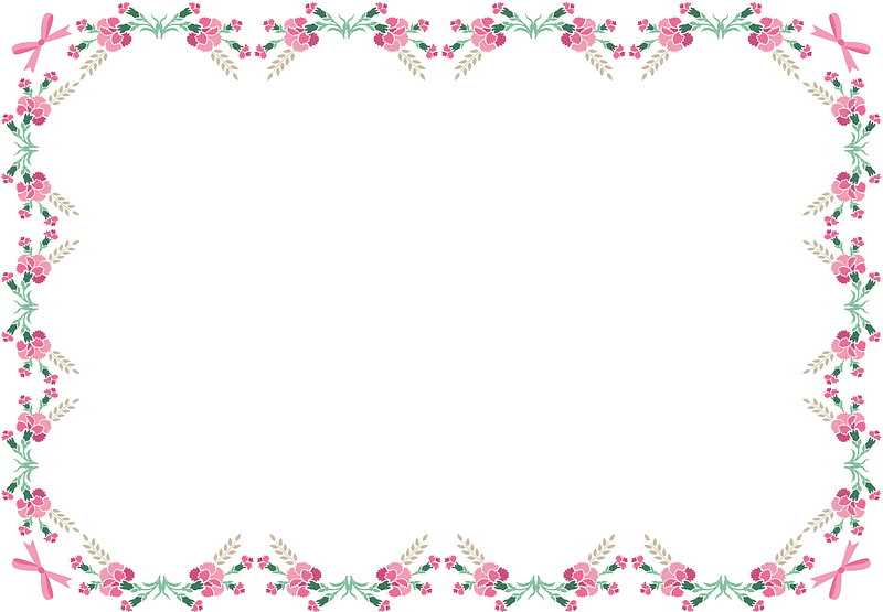 Carnation Mothers Day Frame