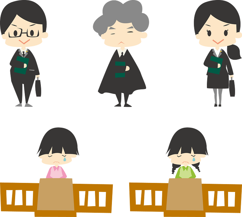 Trial Judgment