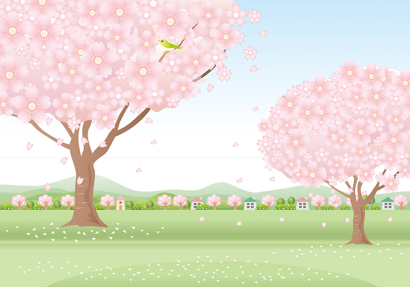 Cherry Blossom Tree Countryside