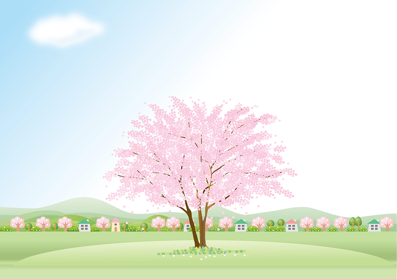 Cherry Blossom Tree Countryside