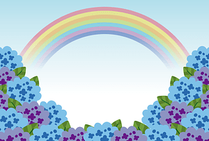 Hydrangea Rainbow