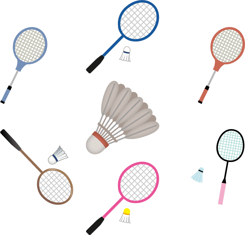 Badminton Sports