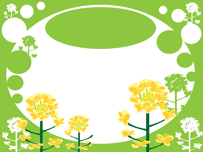 Rape Blossoms Background