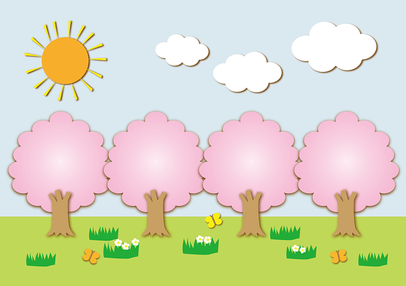 Cherry Blossom Trees
