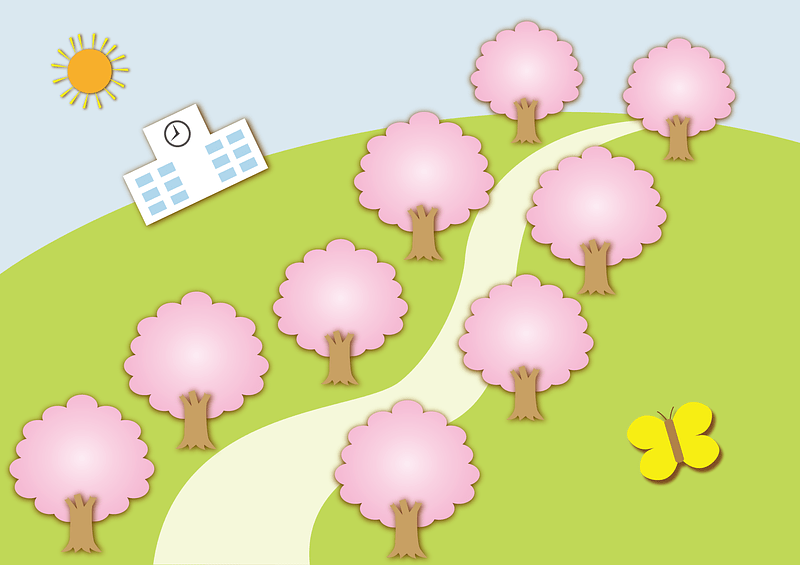 Cherry Blossom Trees
