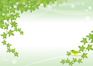 Ivy Bird Background