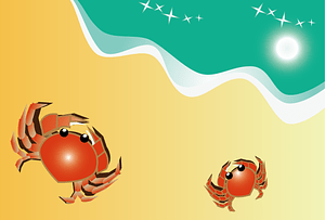 Beach Crab