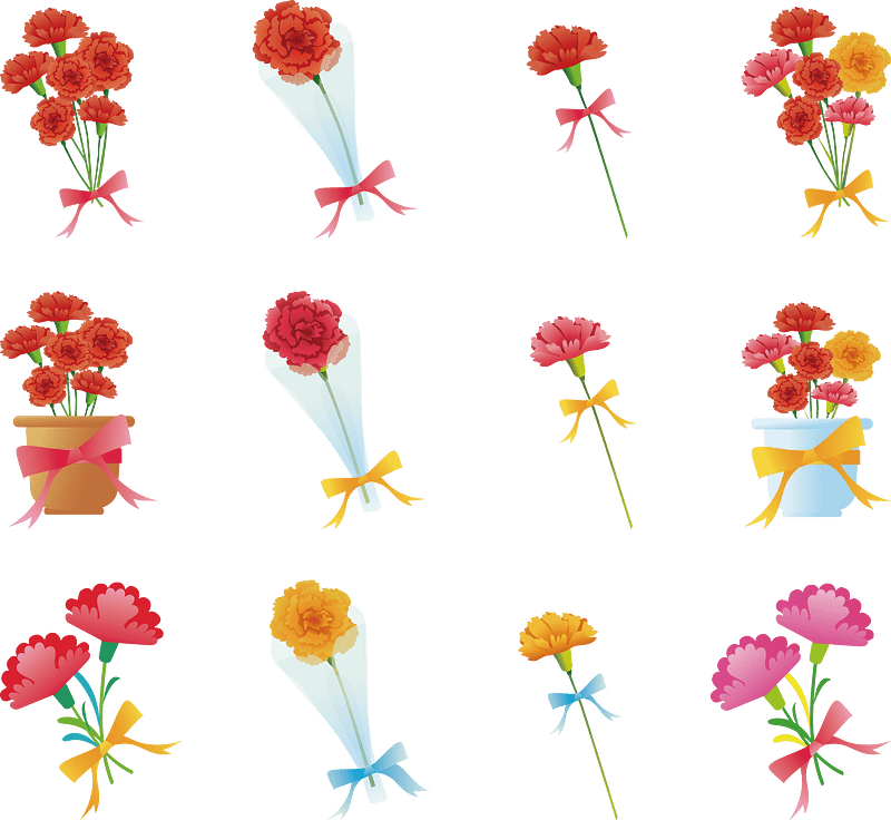 Mothers Day Carnation