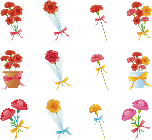 Mothers Day Carnation