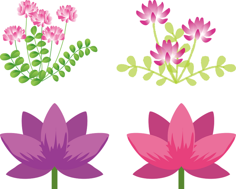 Chinese Milk Vetch
