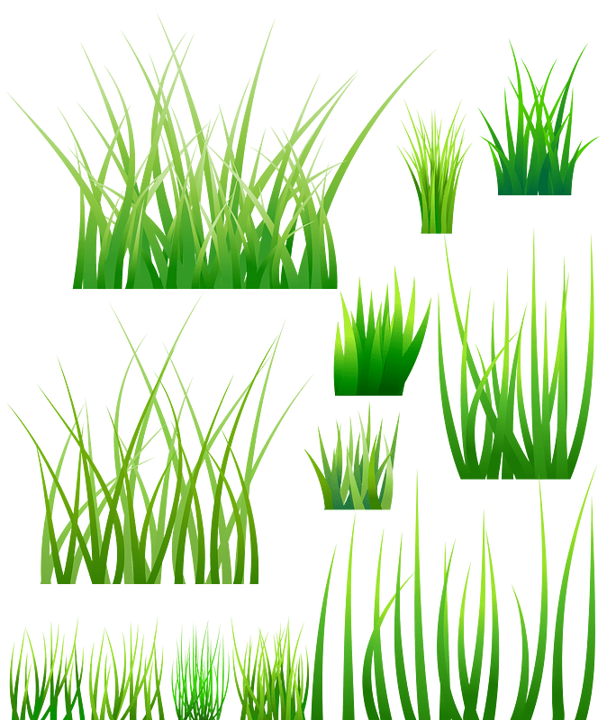 Green Grass