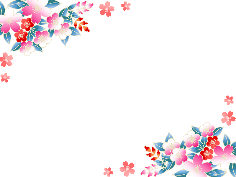 Plum Cherry Blossoms