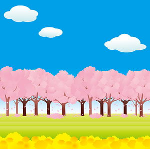 Cherry Blossom Trees