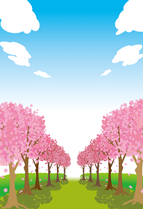 Cherry Blossom Trees