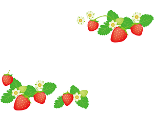 Strawberry Frame