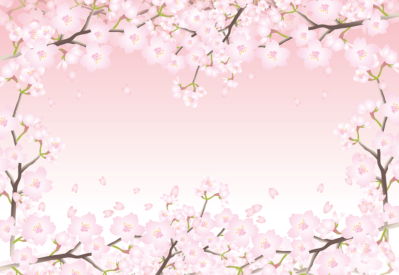 Cherry Blossoms Frame