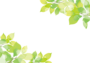 Green Leaves Frame