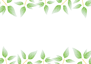 Green Leaves Frame